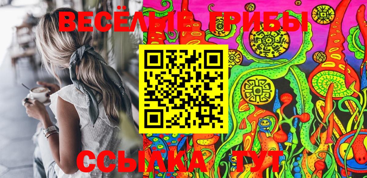 Псилоцибиновые грибы мицелий Выкса