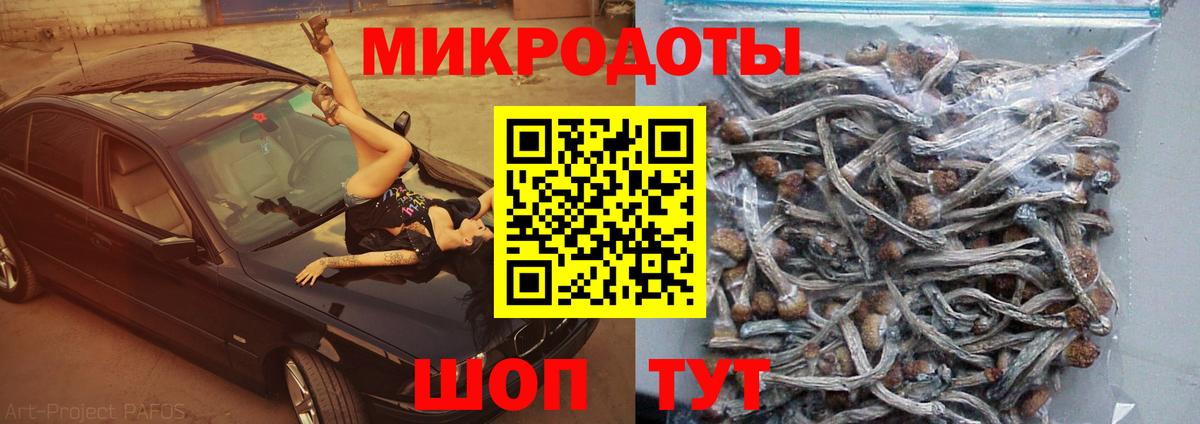 Галлюциногенные грибы Cubensis  Вход с VPN  Выкса 