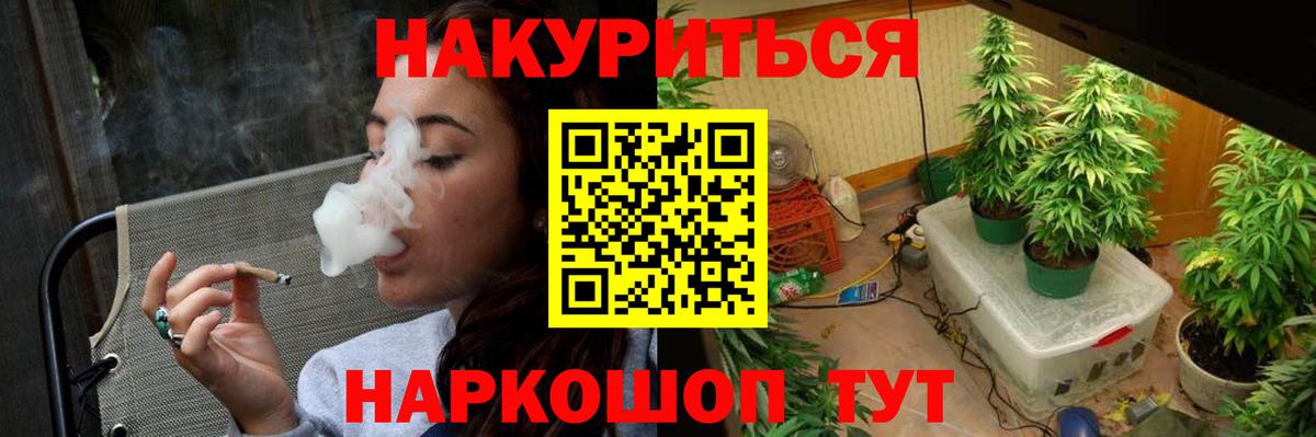 Конопля сатива Выкса